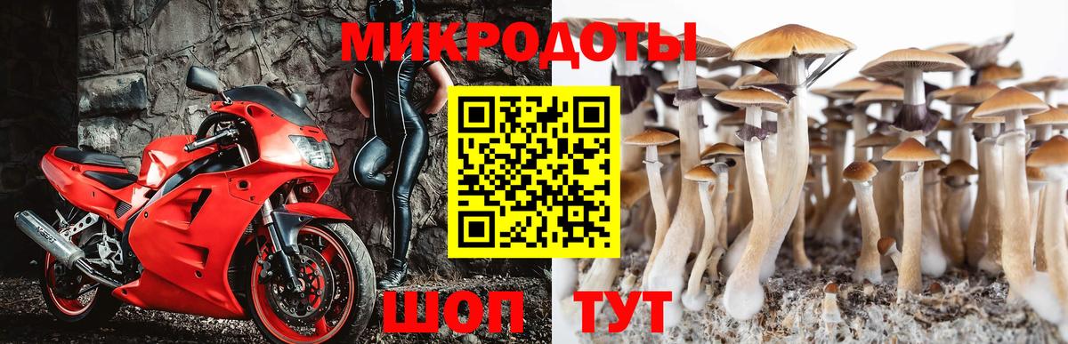 Туймазы  Псилоцибиновые грибы мухоморы  Галлюциногенные грибы Psilocybine cubensis  Вход с VPN 